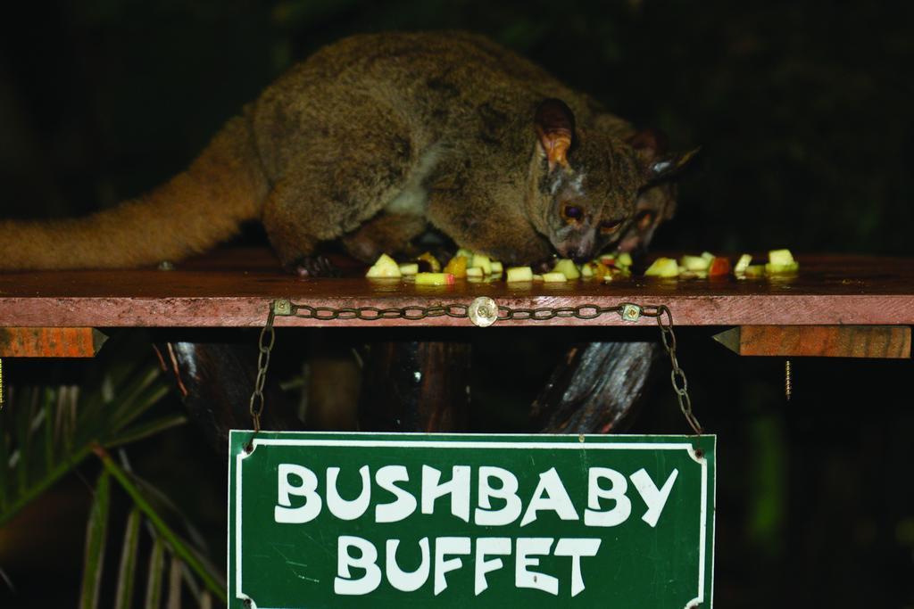 Gooderson Bushlands Game Lodge Hluhluwe Eksteriør bilde