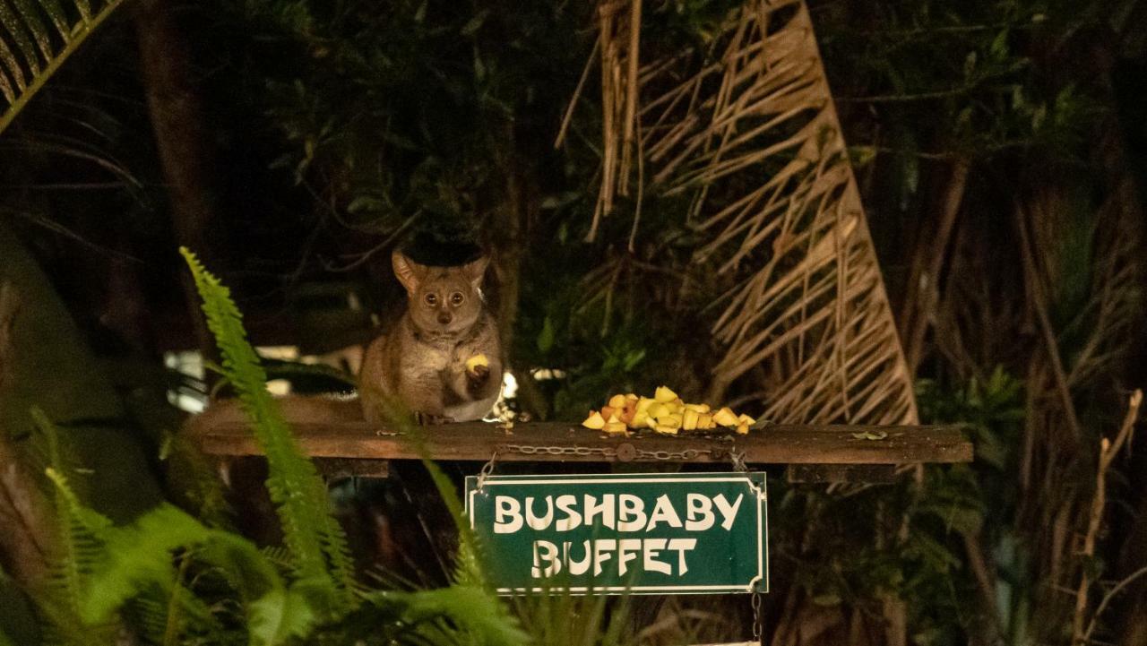 Gooderson Bushlands Game Lodge Hluhluwe Eksteriør bilde